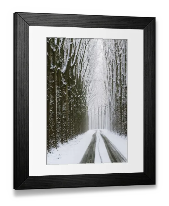 Framed Print : dordtse biesbosch, de elzen, polder de biesbosch, sneeuw, winter