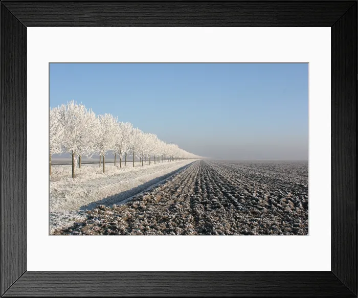 Framed Print : Ibisweg Zeewolde Netherlands covered in hoar-frost, Ibisweg Zeew