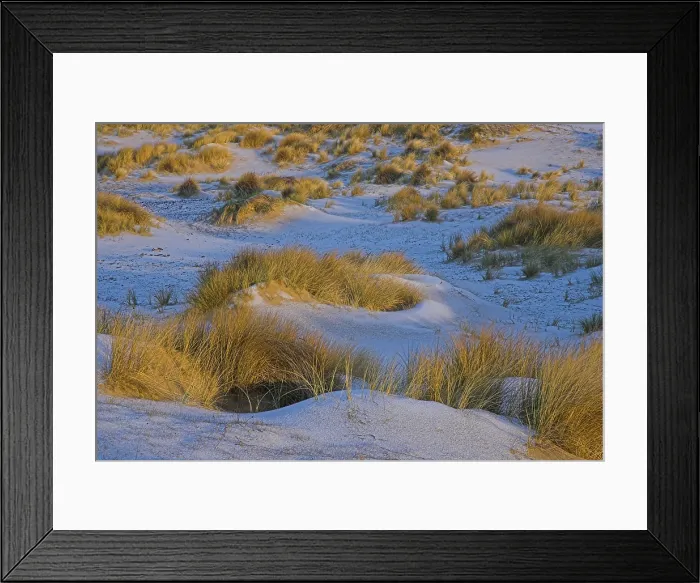 Framed Print : Duinen, Dunes