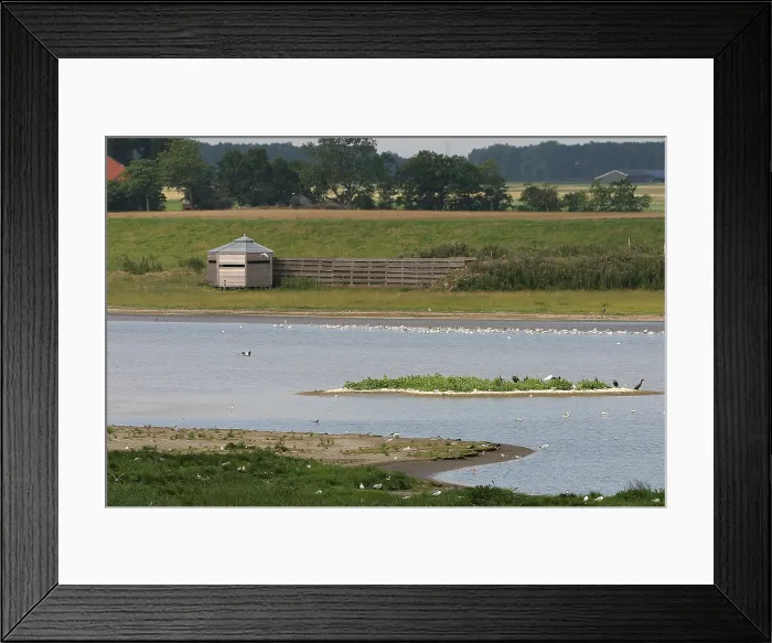 Framed Print : Breebaartpolder