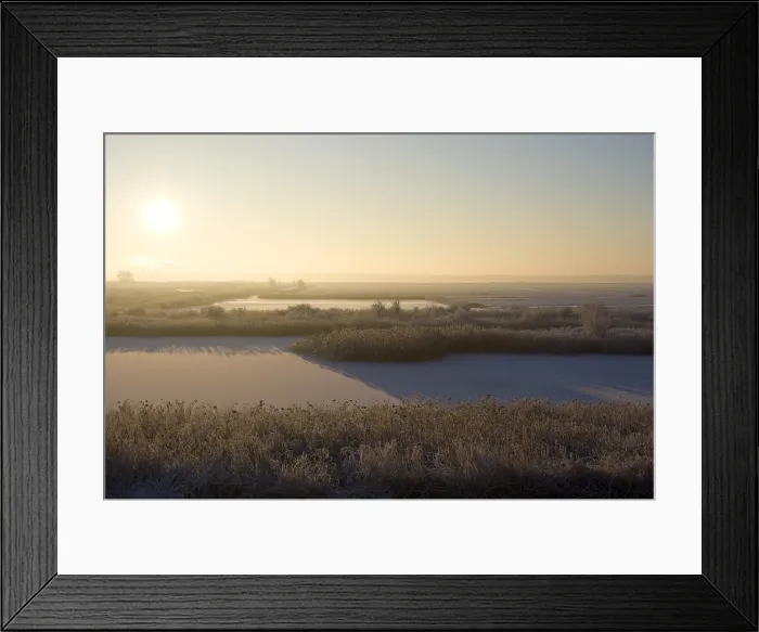 Framed Print : Oostvaardersplassen Netherlands, Oostvaardersplassen Nederland
