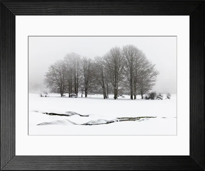 Framed Print : Snowy Landscape