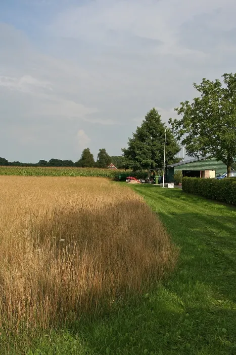 Framed Print : Achterhoek