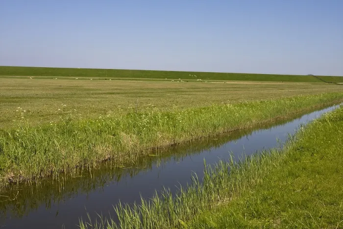 Framed Print : Bantpolder