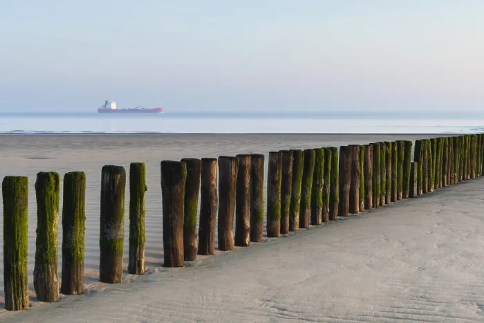 Framed Print : Beach at Breskens in spring
