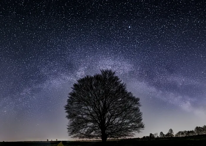 Framed Print : Beechtree with the Milky Way