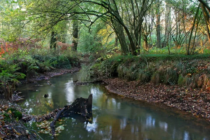 Framed Print : Beek, Stream