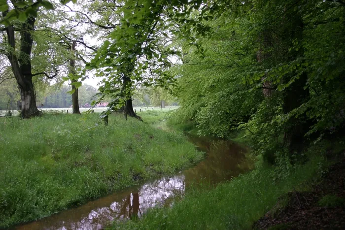 Framed Print : Beek, Stream