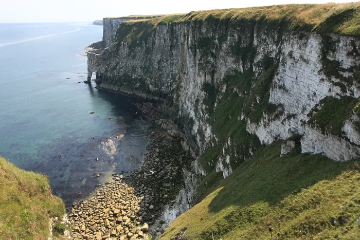 Framed Print : Bempton Cliffs