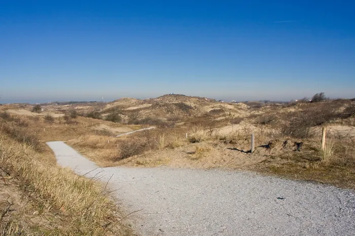 Framed Print : Berkheide tussen Katwijk en Wassenaar, Berkheide in between Katwijk and Wassenaar