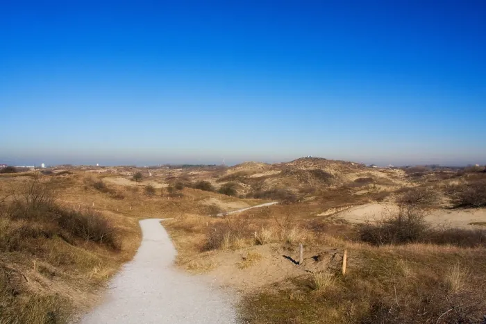Framed Print : Berkheide tussen Katwijk en Wassenaar, Berkheide in between Katwijk and Wassenaar