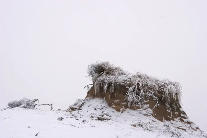 Framed Print : Berkheide. Winters duinlandschap in Berkheide; Berkheide in winter
