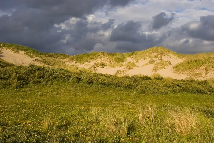 Framed Print : Berkheide tussen Katwijk en Wassenaar, Berkheide in between Katwijk and Wassenaar