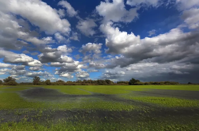 Framed Print : Biesbosch. Een imposante wolkenlucht boven de Biesbosch