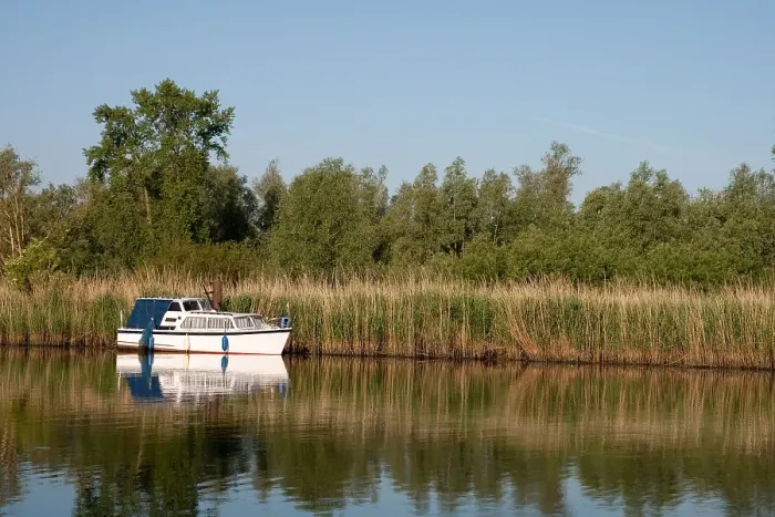 Framed Print : Brabantse Biesbosch