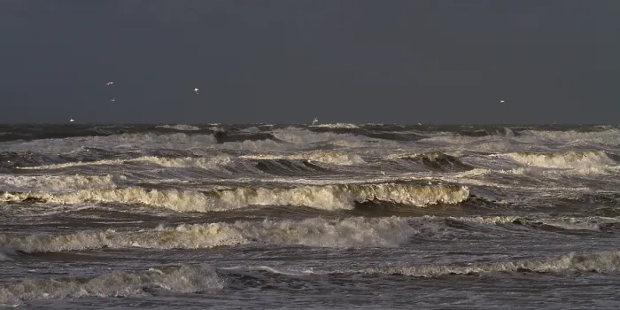 Framed Print : Branding, Breakers