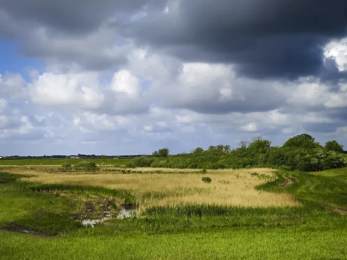 Framed Print : Ceres at Texel