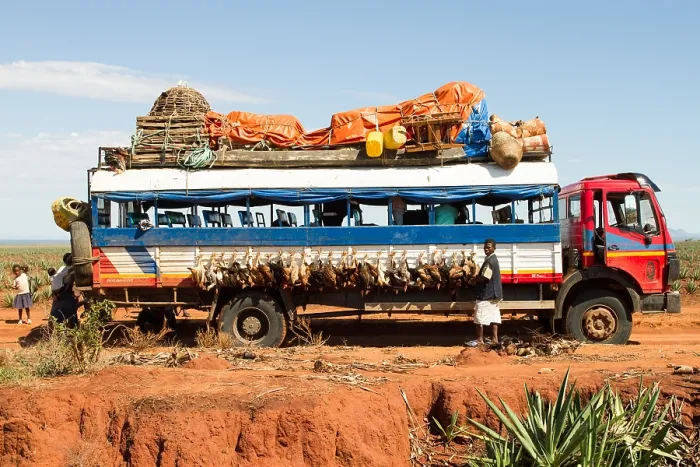 Framed Print : Chickens on the bus in Madagascar