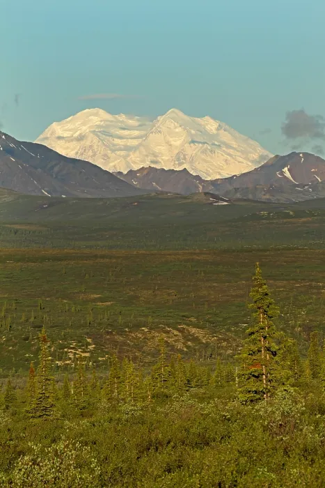 Framed Print : Denali NP