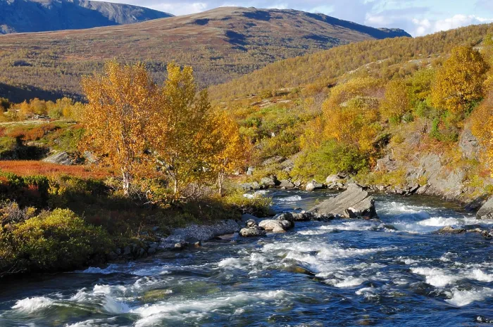Framed Print : Dovrefjell
