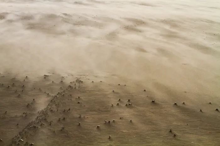 Framed Print : Drifting sand