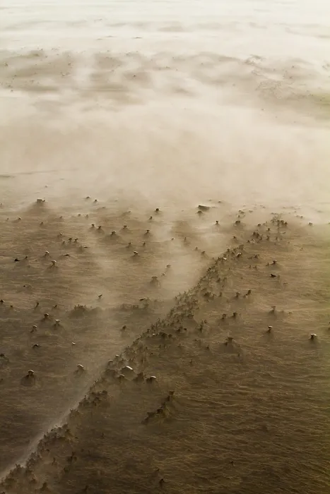 Framed Print : Drifting sand