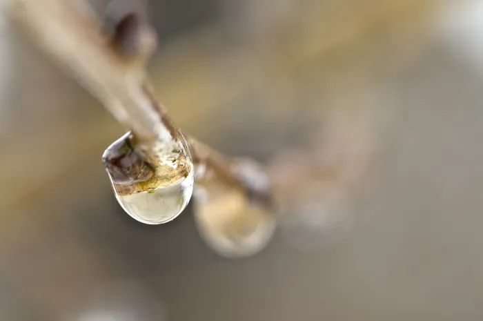 Framed Print : Druppels, Drops