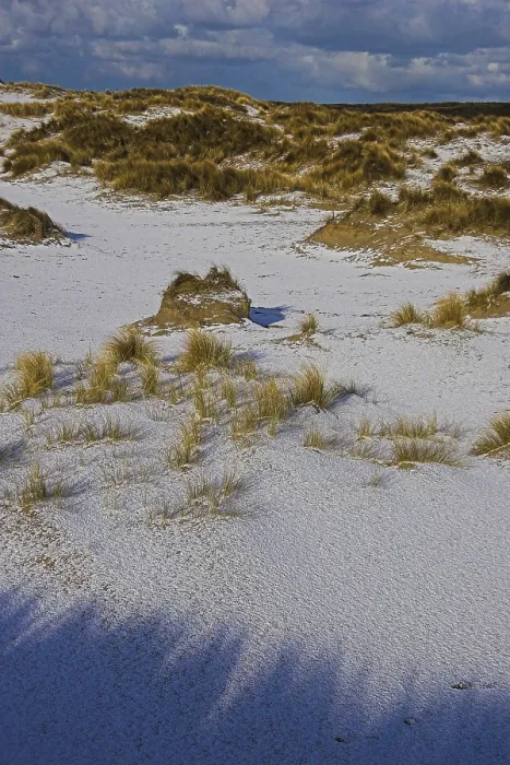 Framed Print : Duinen, Dunes