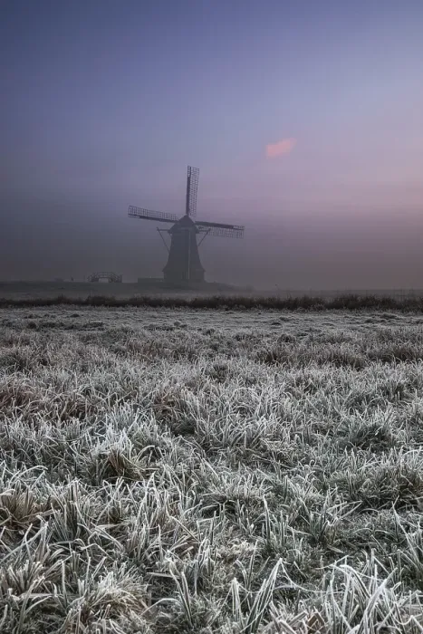 Framed Print : Dutch windmill