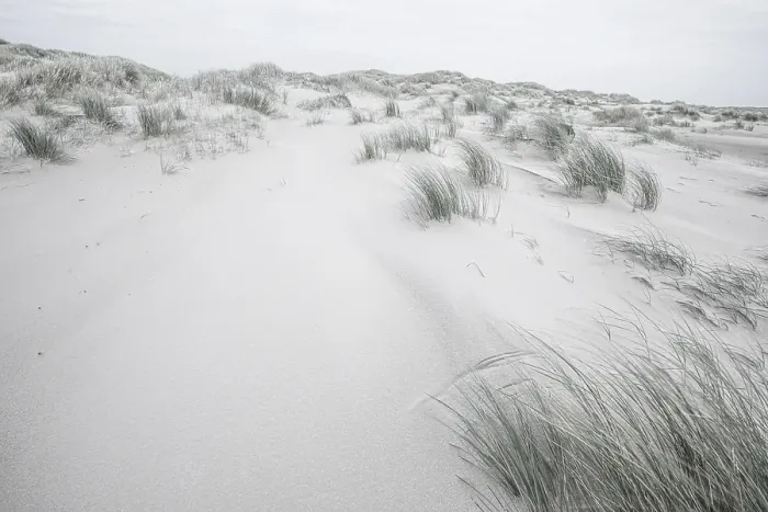 Framed Print : Embryonic dune