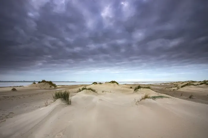 Framed Print : Embryonic dune