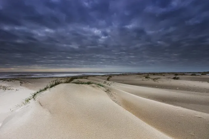 Framed Print : Embryonic dune