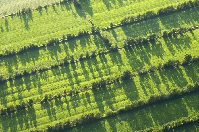 Framed Print : Friesland. Luchtfoto van boerenland in Friesland; Aerial photo of rural