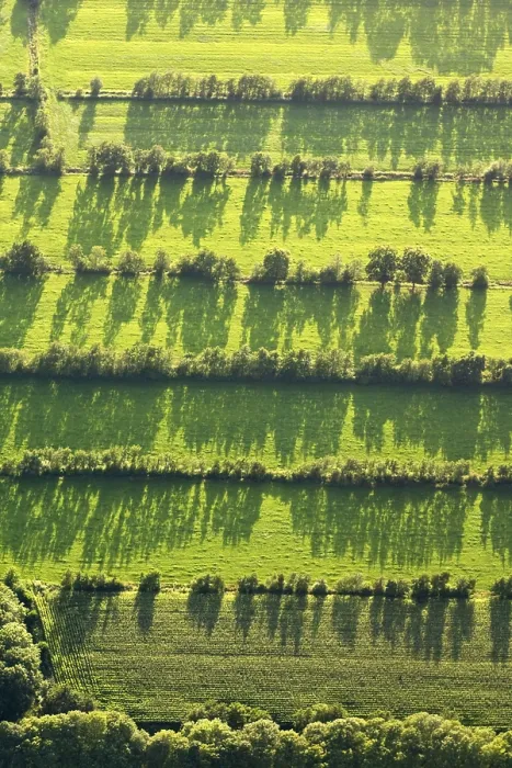 Framed Print : Friesland. Luchtfoto van boerenland in Friesland; Aerial photo of rural