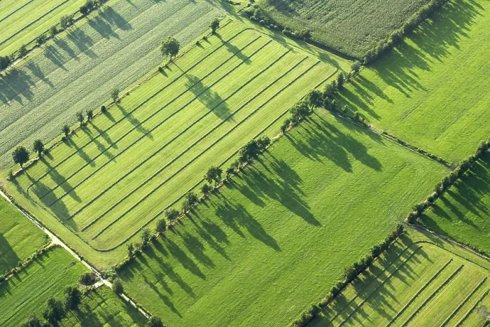 Framed Print : Friesland. Luchtfoto van boerenland in Friesland; Aerial photo of rural