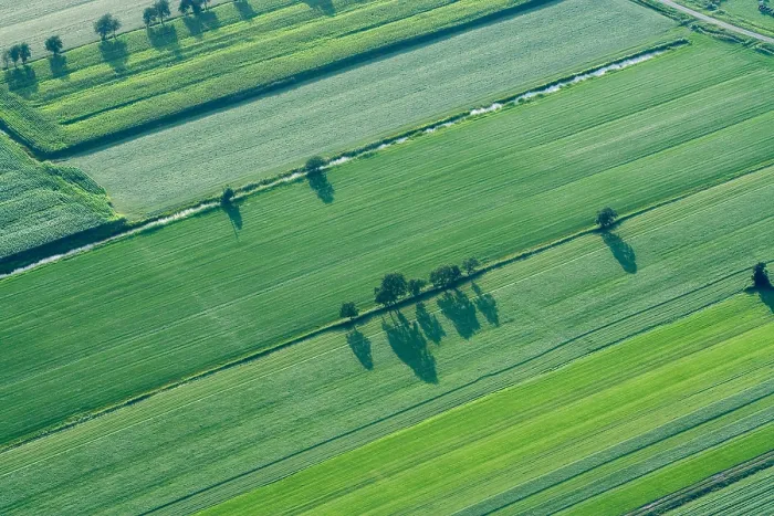 Framed Print : Friesland