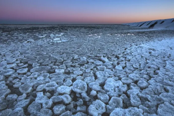 Framed Print : Frozen Wadden Sea