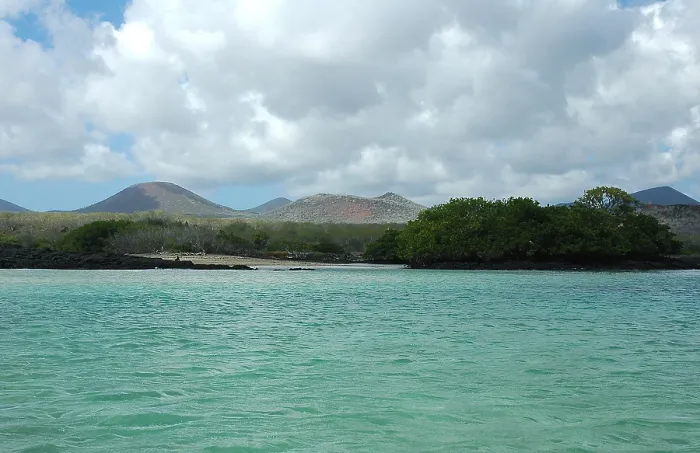 Framed Print : Galapagos
