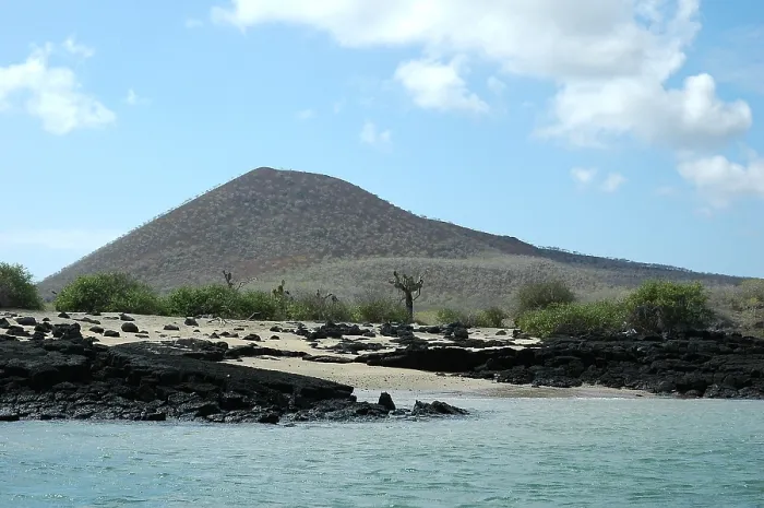 Framed Print : Galapagos