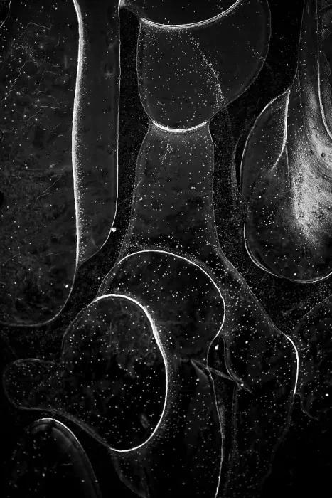 Framed Print : Ice crystals