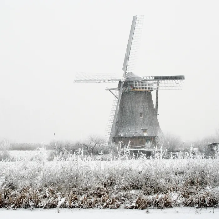 Framed Print : Kinderdijk