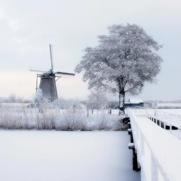 Framed Print : Kinderdijk