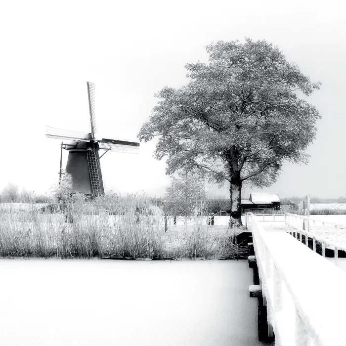 Framed Print : Kinderdijk