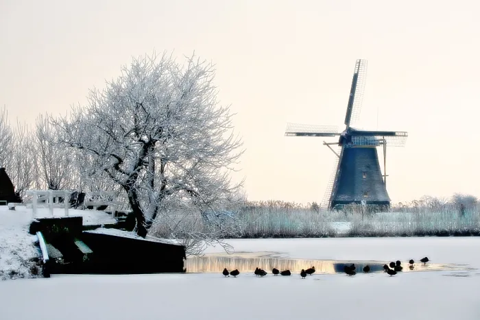 Framed Print : Kinderdijk Framed Print : Kinderdijk