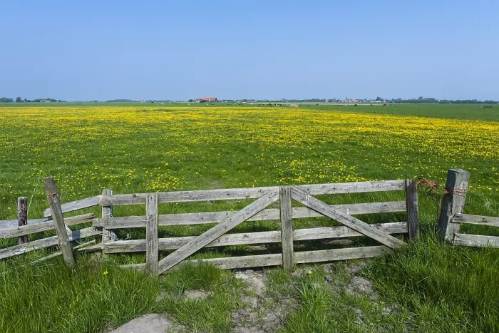 Framed Print : Landscape at Texel