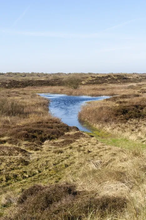 Framed Print : Landscape at Texel Framed Print : Landscape at Texel