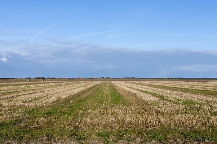 Framed Print : Landscape at Texel