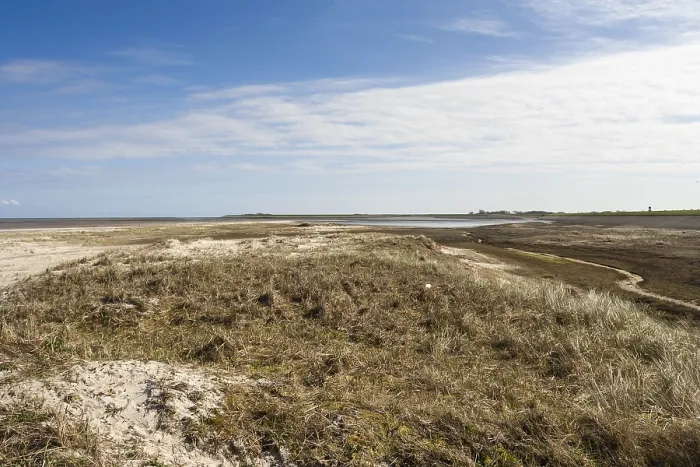 Framed Print : Landscape at Texel