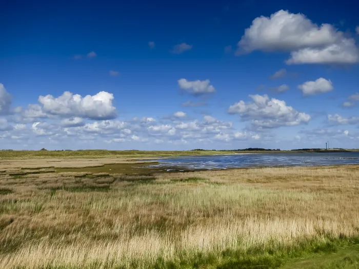 Framed Print : Landscape at Texel