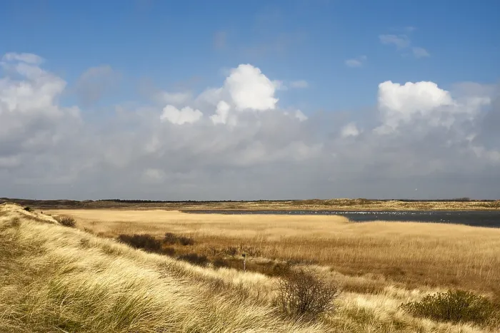 Framed Print : Landscape at Texel